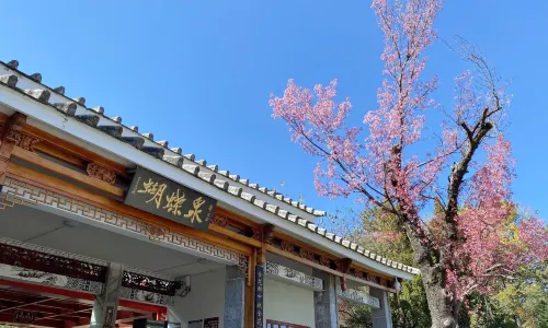 Butterfly Spring Scenic Area