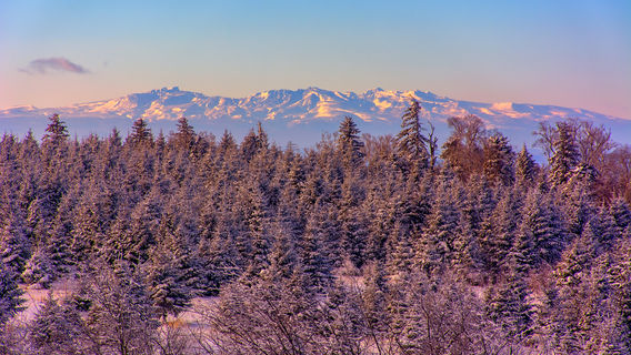 Changbai