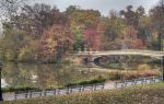 Yongsan Family Park