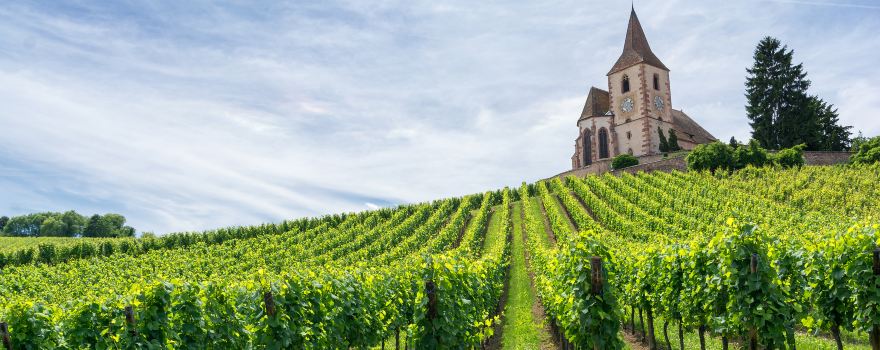 Haut-Rhin