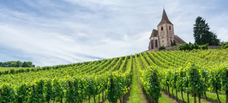 Campanile properties in Haut-Rhin