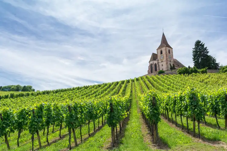 Département Haut-Rhin