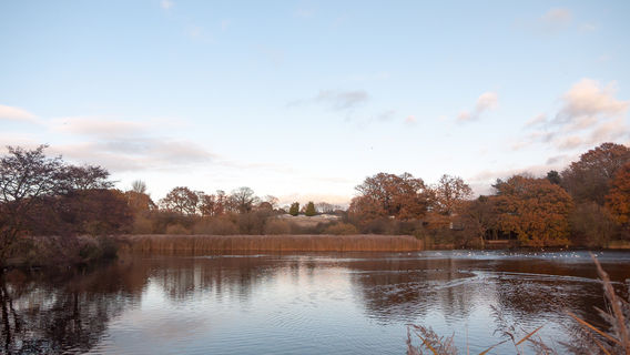 Tsutsumigaura Nature Park