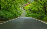 Ubako Natural Tansho Walking Road