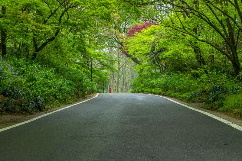 Ubako Natural Tansho Walking Road