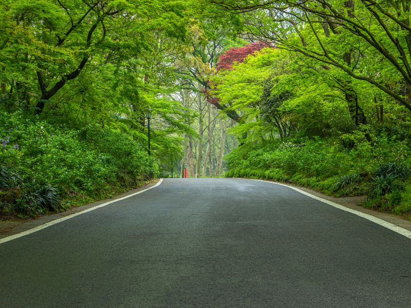 Ubako Natural Tansho Walking Road