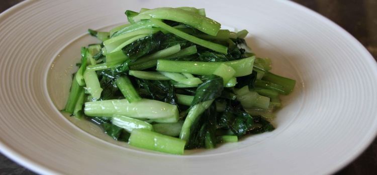 AN JI JUN LAN DU JIA JIU DIAN DAN YU XUAN XI CAN TING