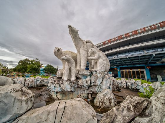 Wuyishan Polar Ocean Park