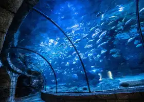 杭州長喬極地海洋公園