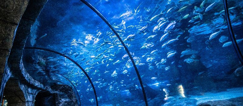 Hang Zhou Chang Qiao Polar Ocean Park