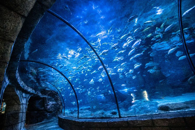 1_杭州長喬極地海洋公園