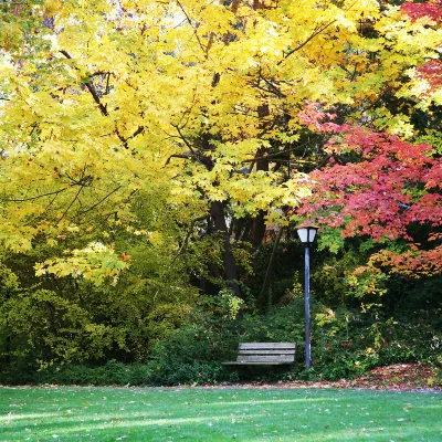 4-звездочные отели в г. Ньюпорт