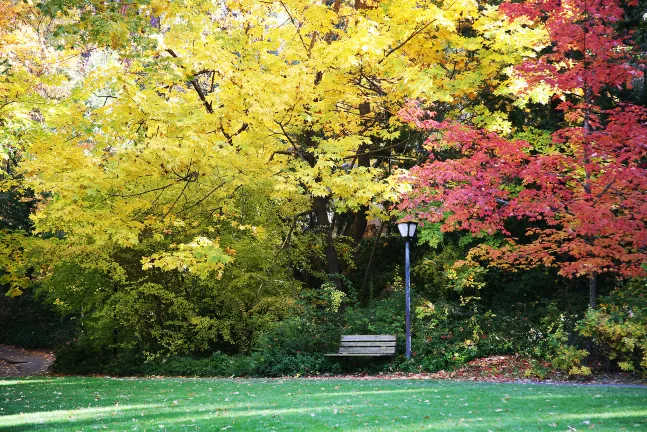 Hotels in der Nähe von Battle Mountain Forest State Scenic Corridor