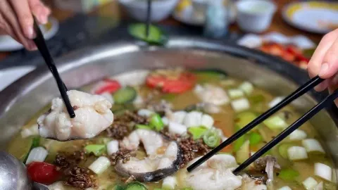 Qingxigongjiao Fish in 야안