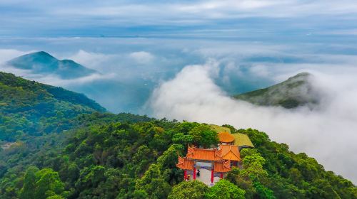 관인산 삼림공원