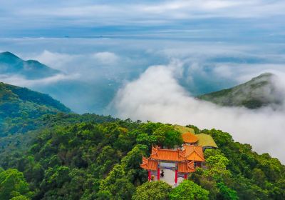 Guanyin Mountain National Forest Park