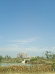 秦潭湖濕地公園