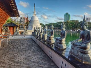 Qatar Airways Flights Amsterdam to Colombo