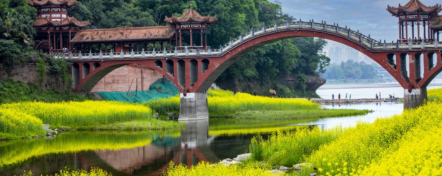 우퉁차오구