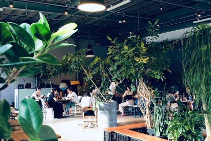 Little Darling Coffee Roasters