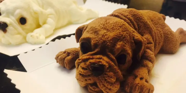 Hotel & Restaurant ZeitZeichen