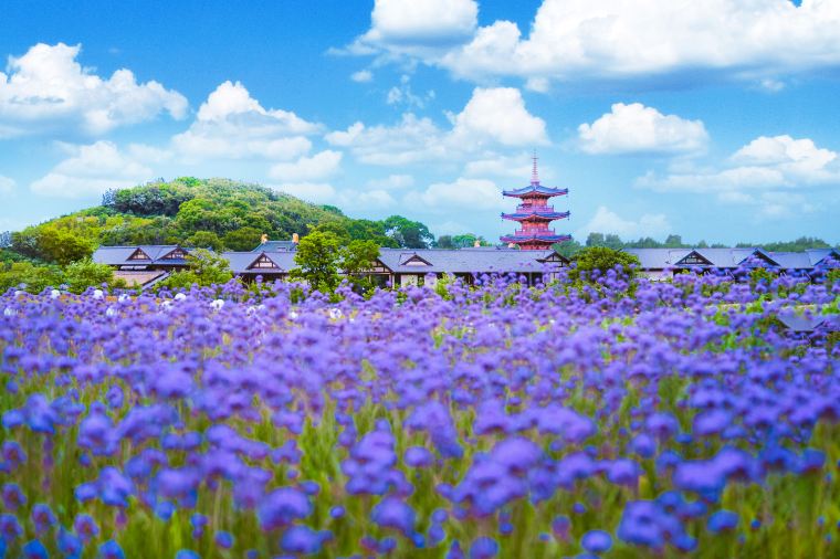 無錫旅行なら中国旅行に強いTrip.comがお得！