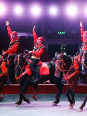 Wuhan East Lake Ocean Park International Circus