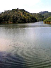 Xinyishi Gaocheng Shuiku Wetland Park