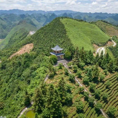 匯邦茶莊附近的飯店