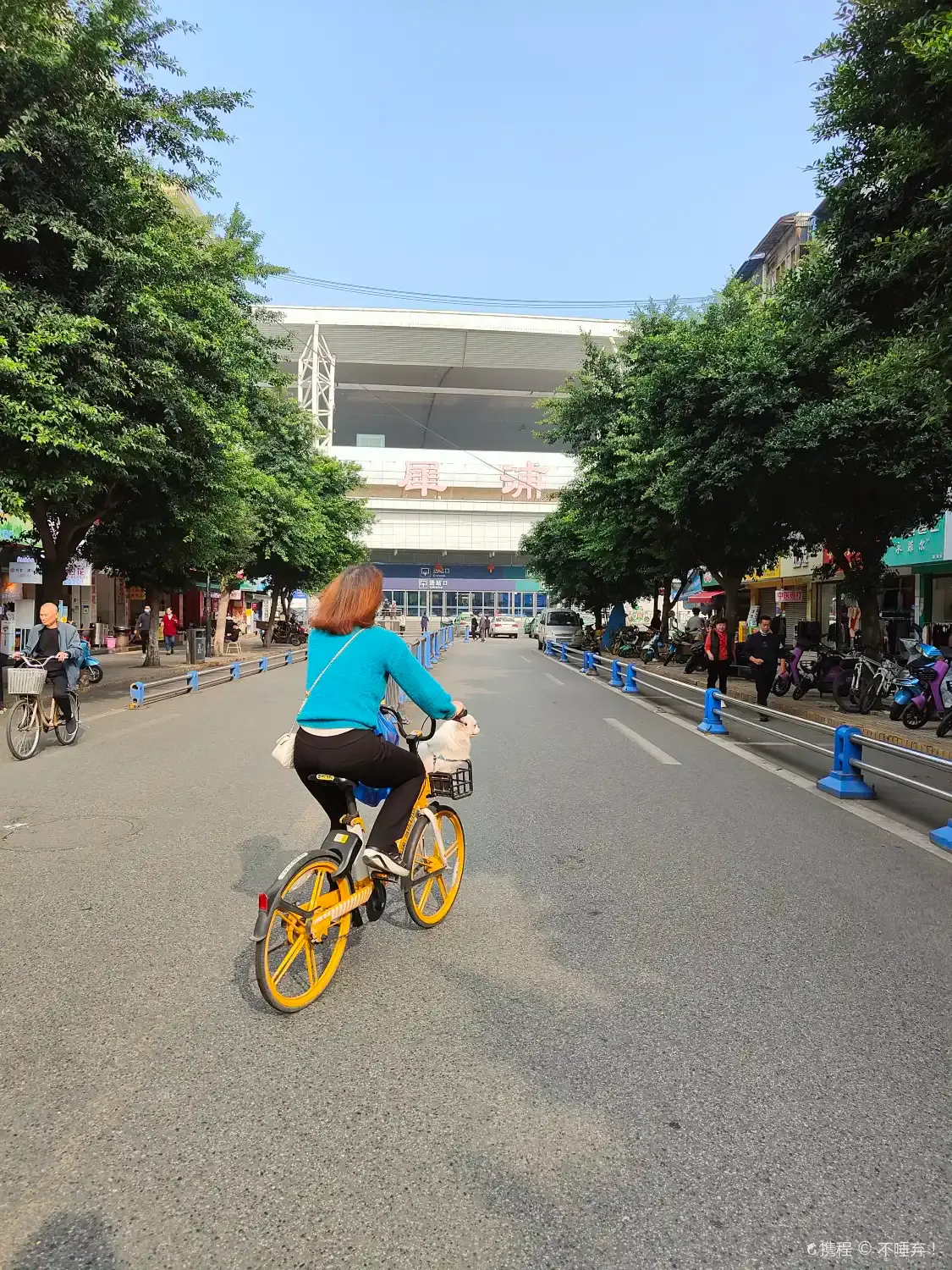시푸 주변 호텔