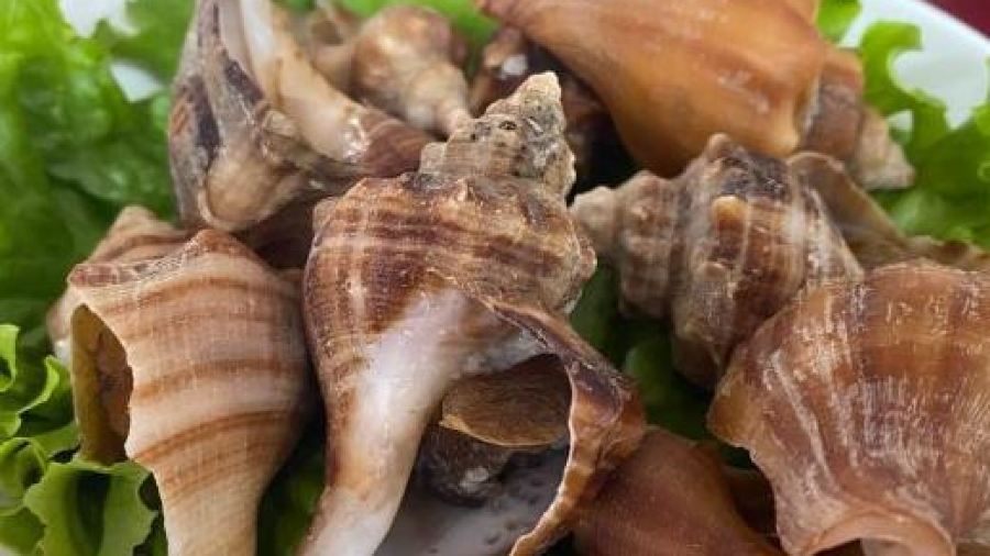 宁海强蛟镇峡山包船75号船