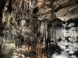 Swallow Cave Scenic Area