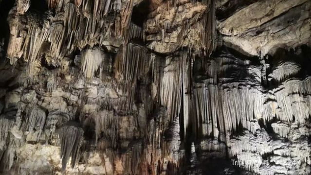 Swallow Cave Scenic Area