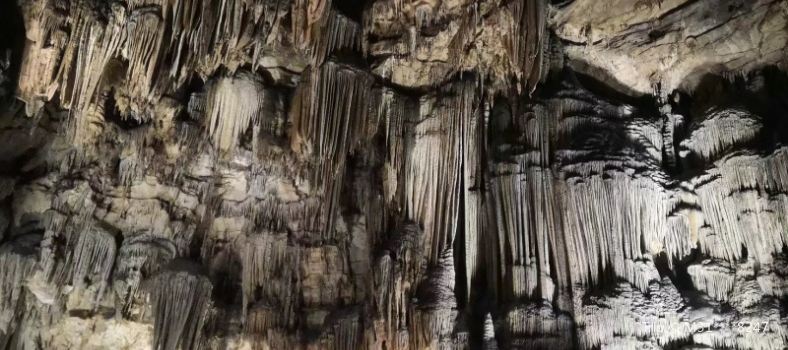 Swallow Cave Scenic Area