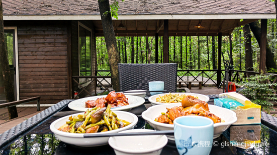 茅山·之道森林温泉民宿·森林陽光餐廳