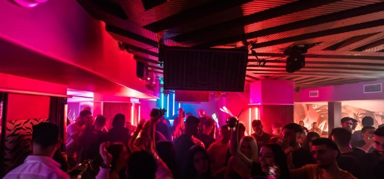 Flamingo Lounge