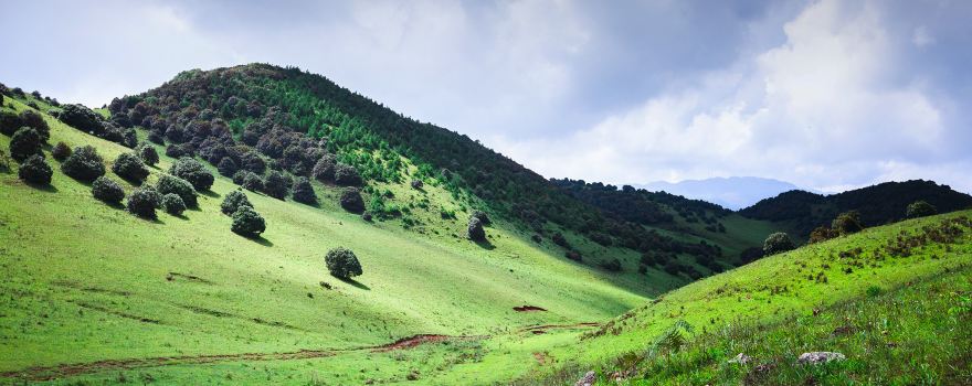 Wulongba Meadow
