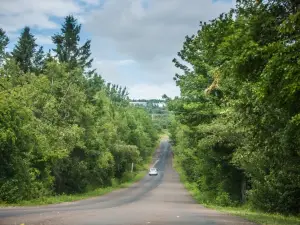 Gravity Hill