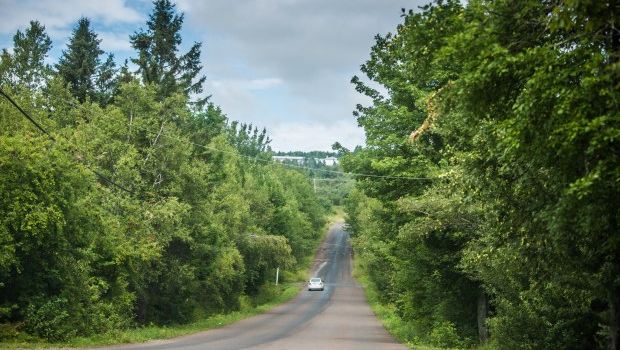 Gravity Hill