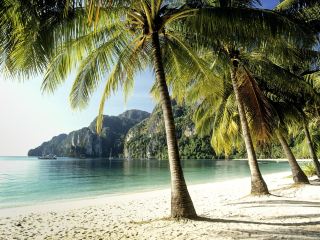 ピピ島旅行 2泊3日 おすすめプラン