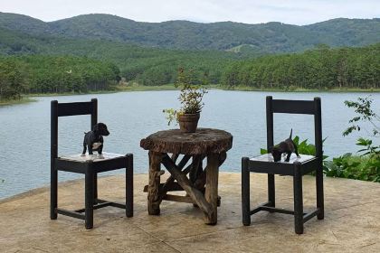 Đảo trái tim Hồ Tuyền Lâm (Happy Hill Coffee)