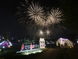 Jinan Red Ginseng Festival