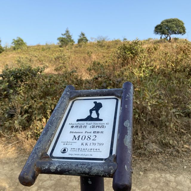 #親子游#馬鞍山郊野公園 | 第一次三姐妹一齊行山