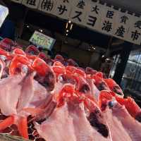 【沼津】沼津港で魚を食べ尽くせ！