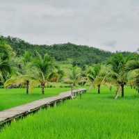 ที่พักวิวหลักล้าน