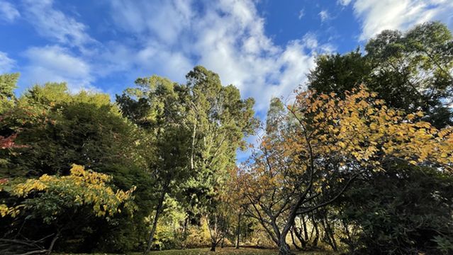 Jellie Park Recreation and Sports Centre