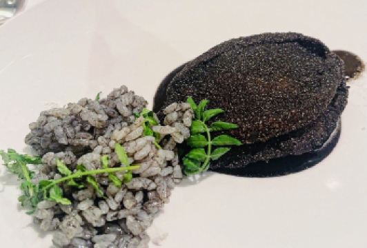 莫里哀用戶圖片