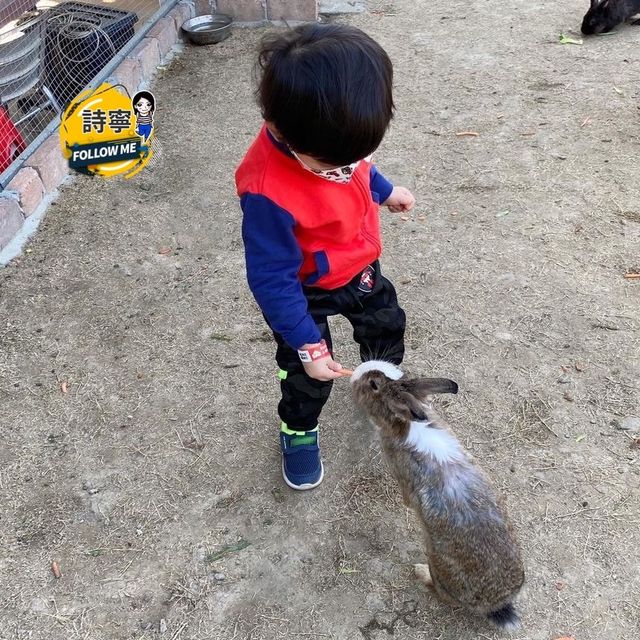 ［零距離接觸兔兔］設露營場地
