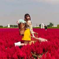 จ๊วด คาเฟ่ ขอนแก่น