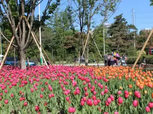 Changchun Zoological And Botanical Park